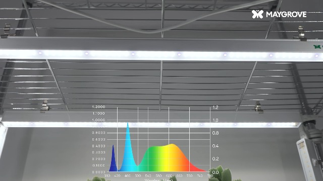 Amazon.com : Maygrove T5 Grow Lights for Indoor Plants 1FT, Blue